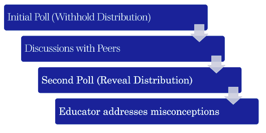 the peer instruction process