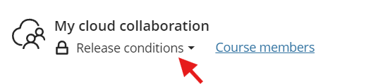 Cloud collaboration content item with release conditions highlighted