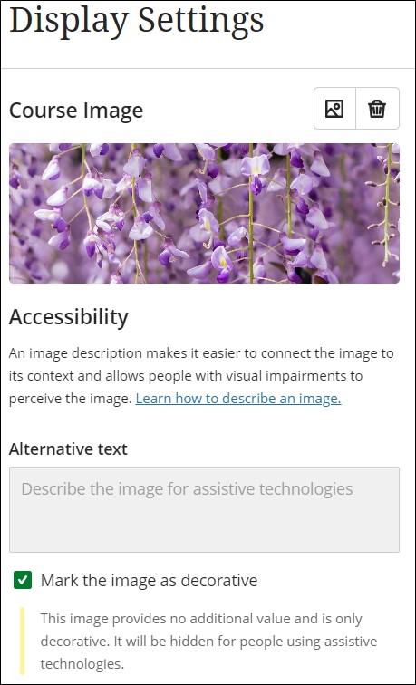 Screenshot showing Display Settings window with an image of flowers uploaded, the alternative text box left empty and the Mark the image as decorative check box ticked.