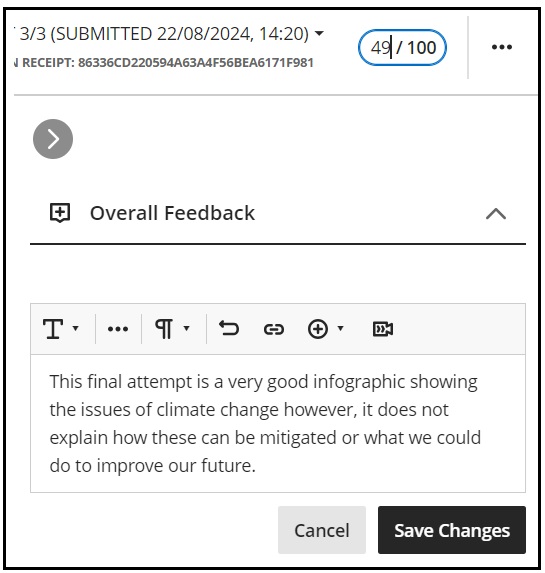Screenshot showing feedback window with comments and marking lozenge with mark entered.