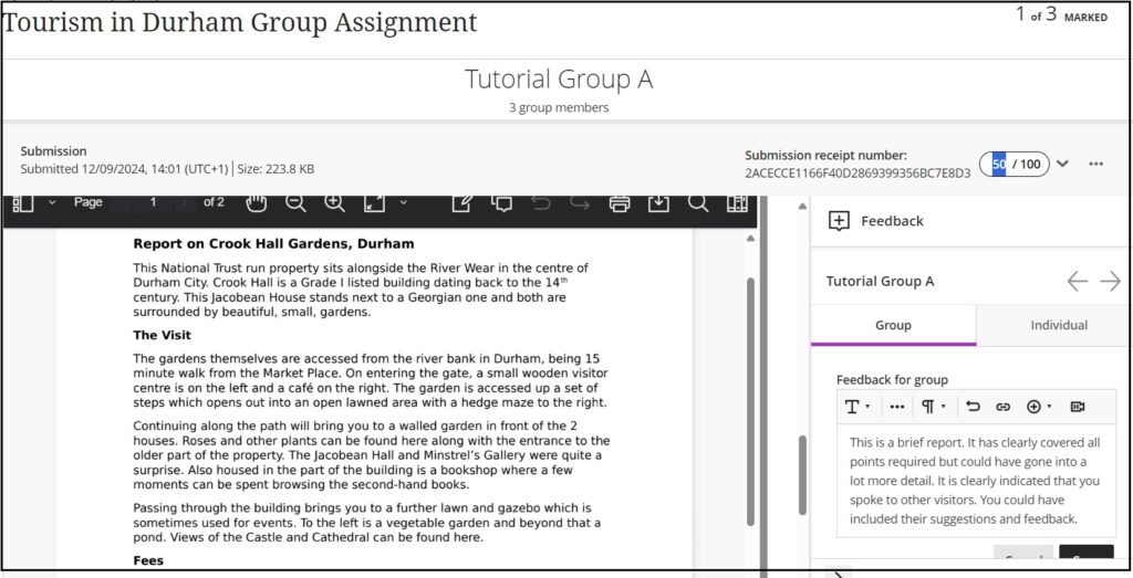 Screenshot showing assignment marking window with Group feedback and mark assigned.