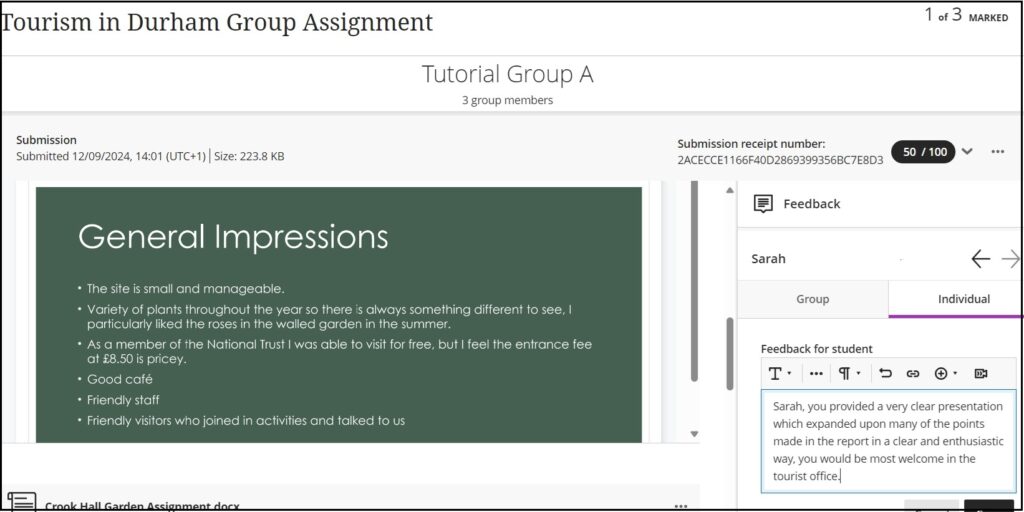 Screenshot showing Individual feedback with mark assignment.