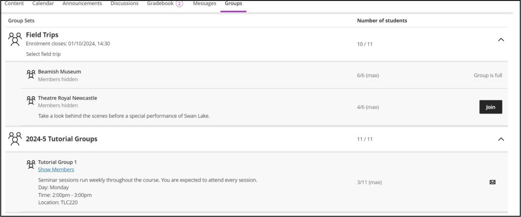 Screenshot showing Group Sets for a student, one self-enrol and the other allocated by the tutor.