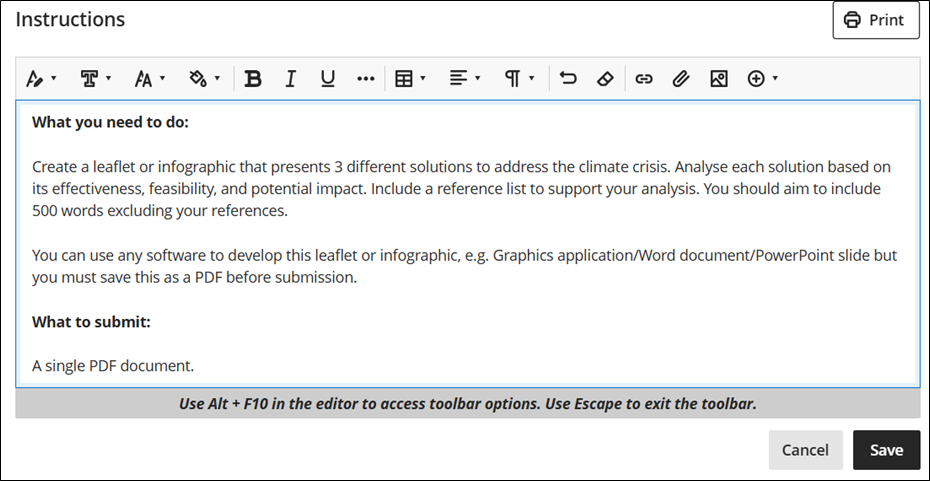 Screenshot showing an assignment brief in the Instructions window.
