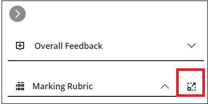 Marking side panel showing overall feedback expansion button and the marking rubric with expansion button and pop-out button.