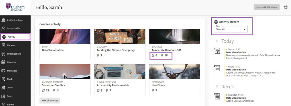 Instructor Activity screen with activity stream on the right.