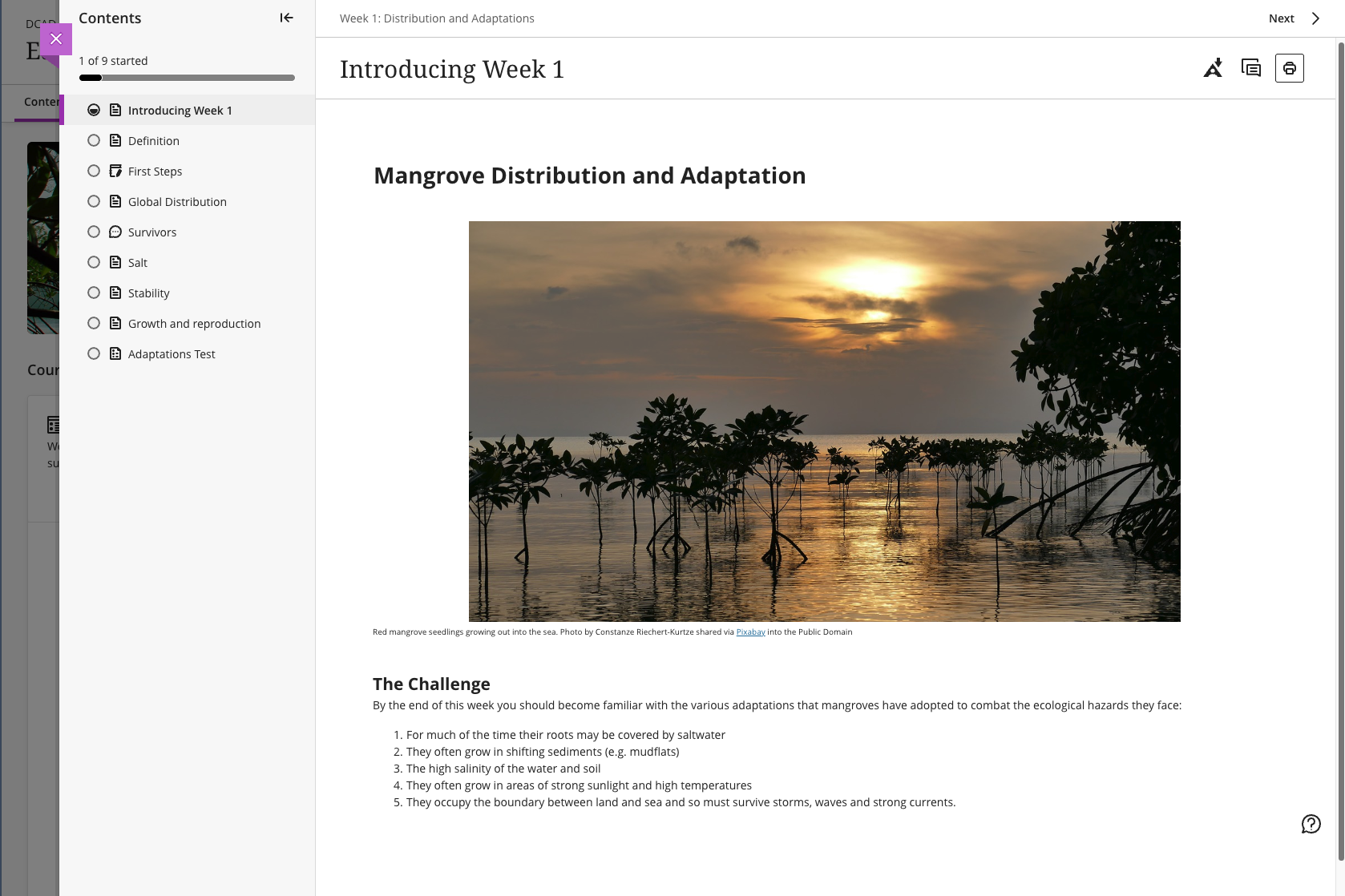 Presenting Learning Content