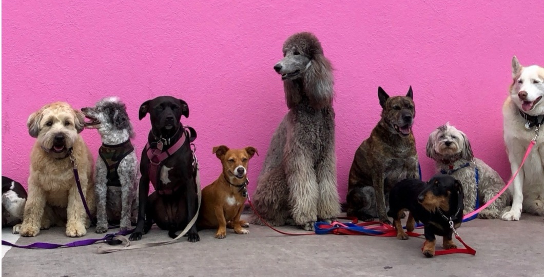 Principles of Digital Accessibility